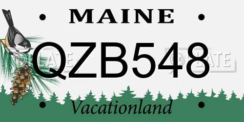 QZB548 Maine License Plate
