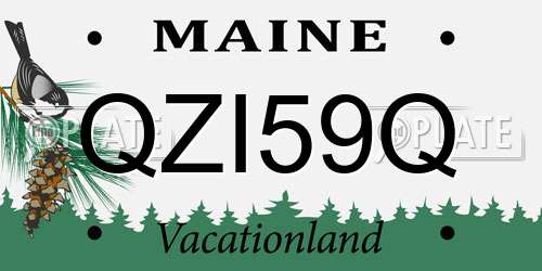 QZI59Q Maine License Plate