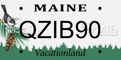 QZIB90 Maine License Plate