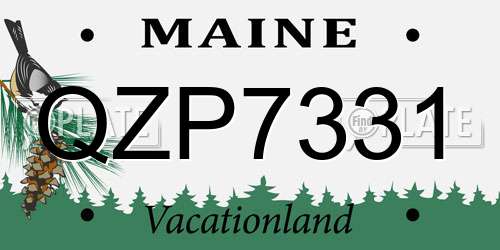 QZP7331 Maine License Plate