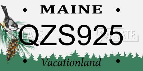 QZS925 Maine License Plate