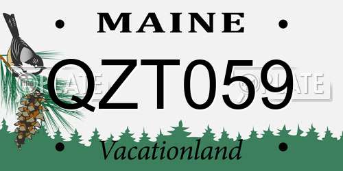 QZT059 Maine License Plate