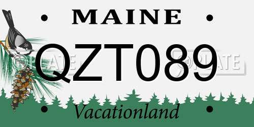 QZT089 Maine License Plate