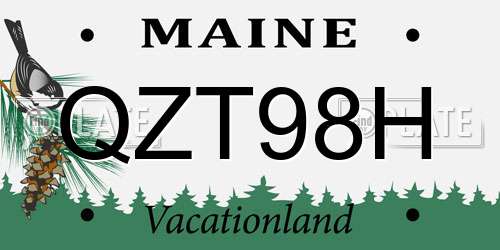 QZT98H Maine License Plate