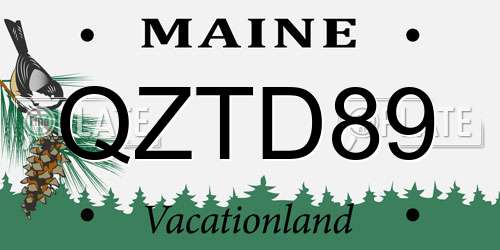 QZTD89 Maine License Plate
