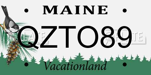 QZTO89 Maine License Plate