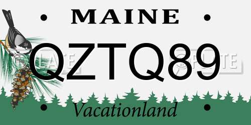 QZTQ89 Maine License Plate