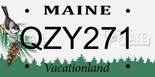 QZY271 Maine License Plate