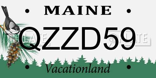 QZZD59 Maine License Plate