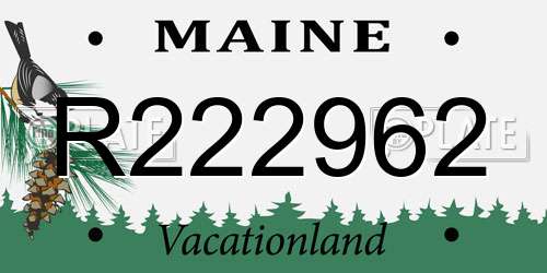 R222962 Maine License Plate