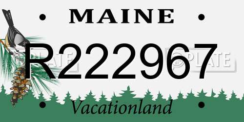 R222967 Maine License Plate