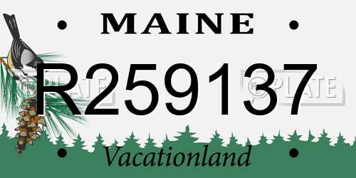 R259137 Maine License Plate