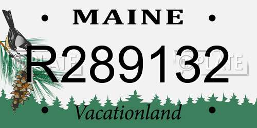 R289132 Maine License Plate