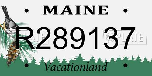 R289137 Maine License Plate