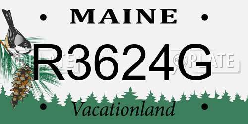 R3624G Maine License Plate