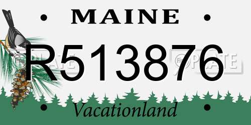 R513876 Maine License Plate