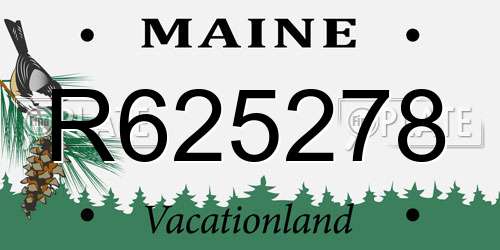 R625278 Maine License Plate