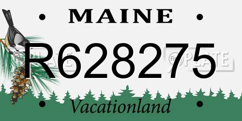 R628275 Maine License Plate