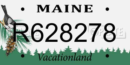 R628278 Maine License Plate