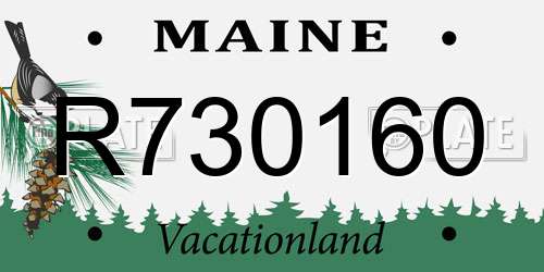 R730160 Maine License Plate