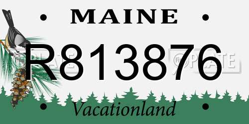 R813876 Maine License Plate