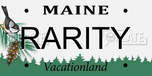 RARITY Maine License Plate