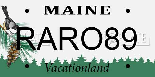 RARO89 Maine License Plate