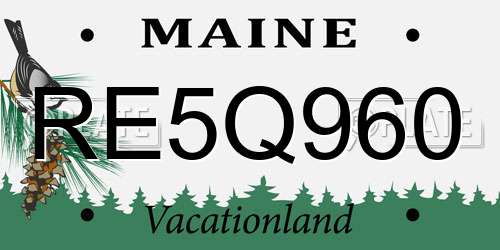 RE5Q960 Maine License Plate