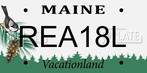REA18L Maine License Plate