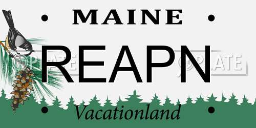 REAPN Maine License Plate