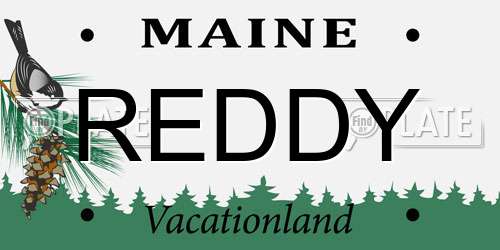 REDDY Maine License Plate