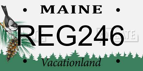 REG246 Maine License Plate