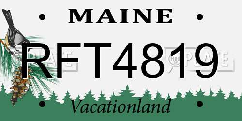 RFT4819 Maine License Plate