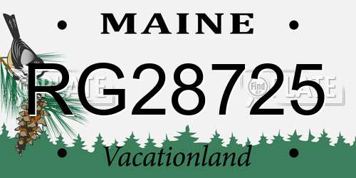 RG28725 Maine License Plate