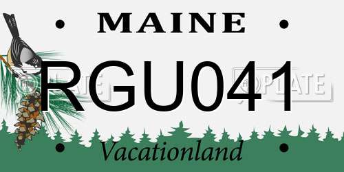 RGU041 Maine License Plate