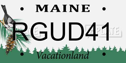 RGUD41 Maine License Plate