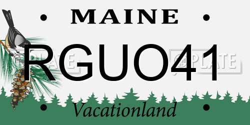RGUO41 Maine License Plate