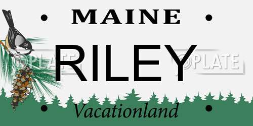 RILEY Maine License Plate