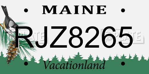 RJZ8265 Maine License Plate
