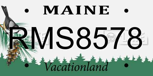 RMS8578 Maine License Plate