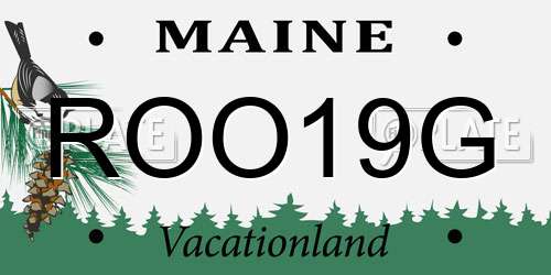 ROO19G Maine License Plate