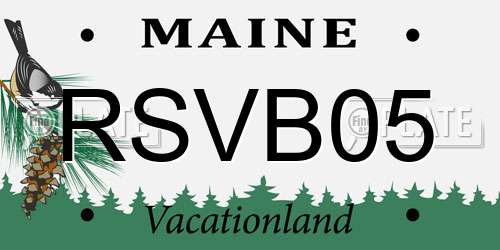 RSVB05 Maine License Plate
