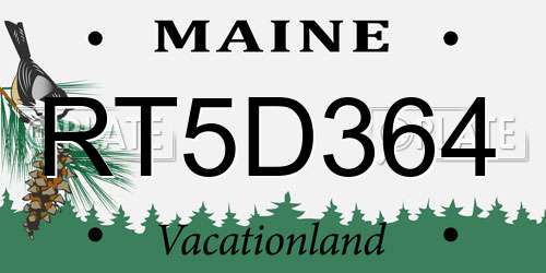 RT5D364 Maine License Plate