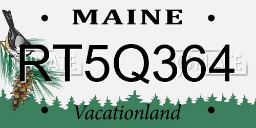 RT5Q364 Maine License Plate