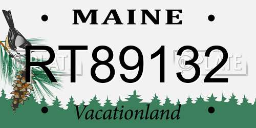 RT89132 Maine License Plate