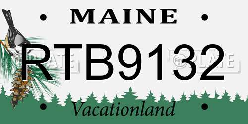 RTB9132 Maine License Plate