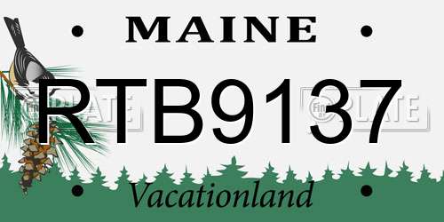 RTB9137 Maine License Plate