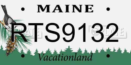 RTS9132 Maine License Plate