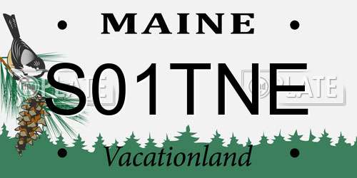 S01TNE Maine License Plate