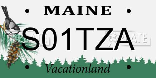 S01TZA Maine License Plate